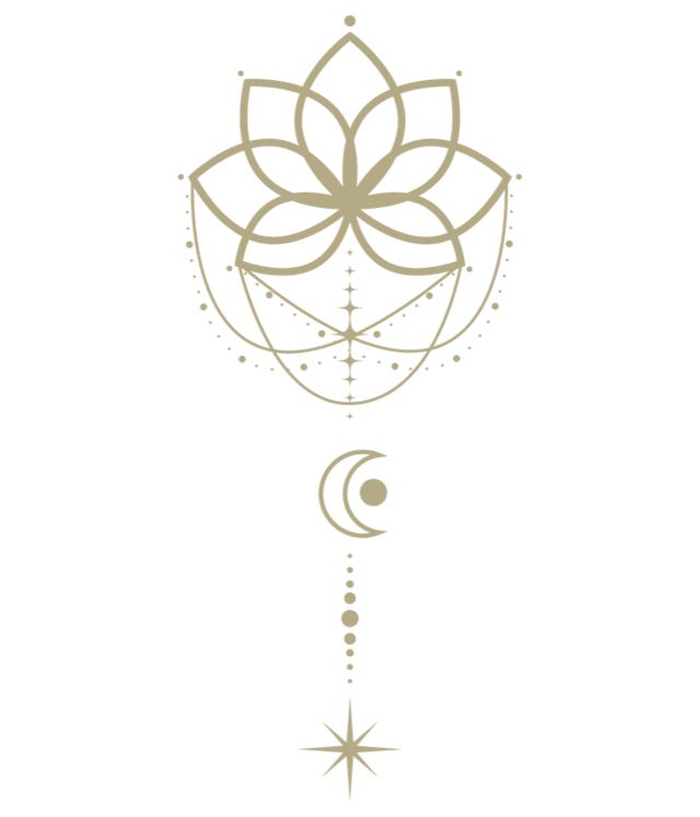 Heart iQ S.P.A.C.E portal